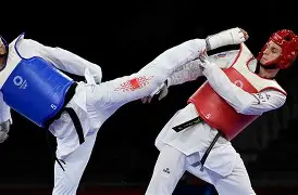 jiuyou-跆拳道夜战：海滨银狐队翻盘南城猎隼队，临门一脚致胜技战术储备厚实的简单介绍