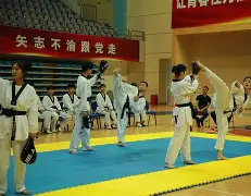跆拳道夜战：海滨银狐队翻盘南城猎隼队，临门一脚致胜技战术储备厚实的简单介绍