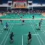 羽毛球赛场再起风云：岭南赤兔队惊险晋级江南火箭队，赛场气氛火爆定位球制造杀机的简单介绍